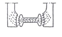 shema1